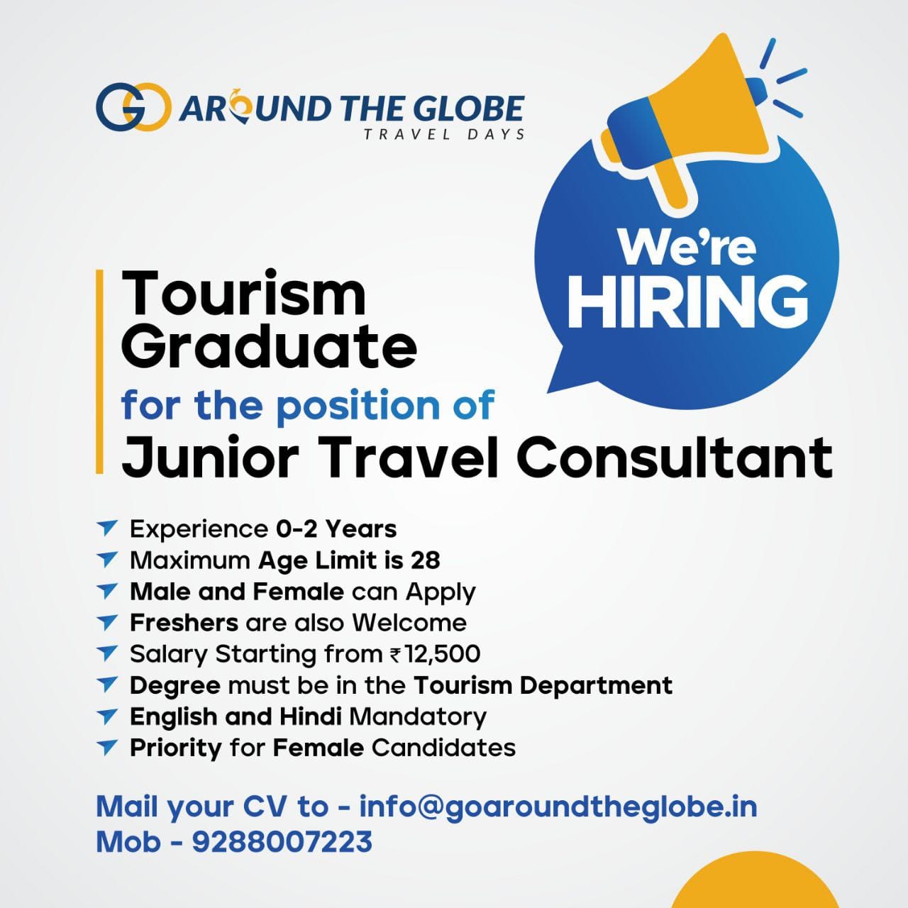 define junior travel consultant